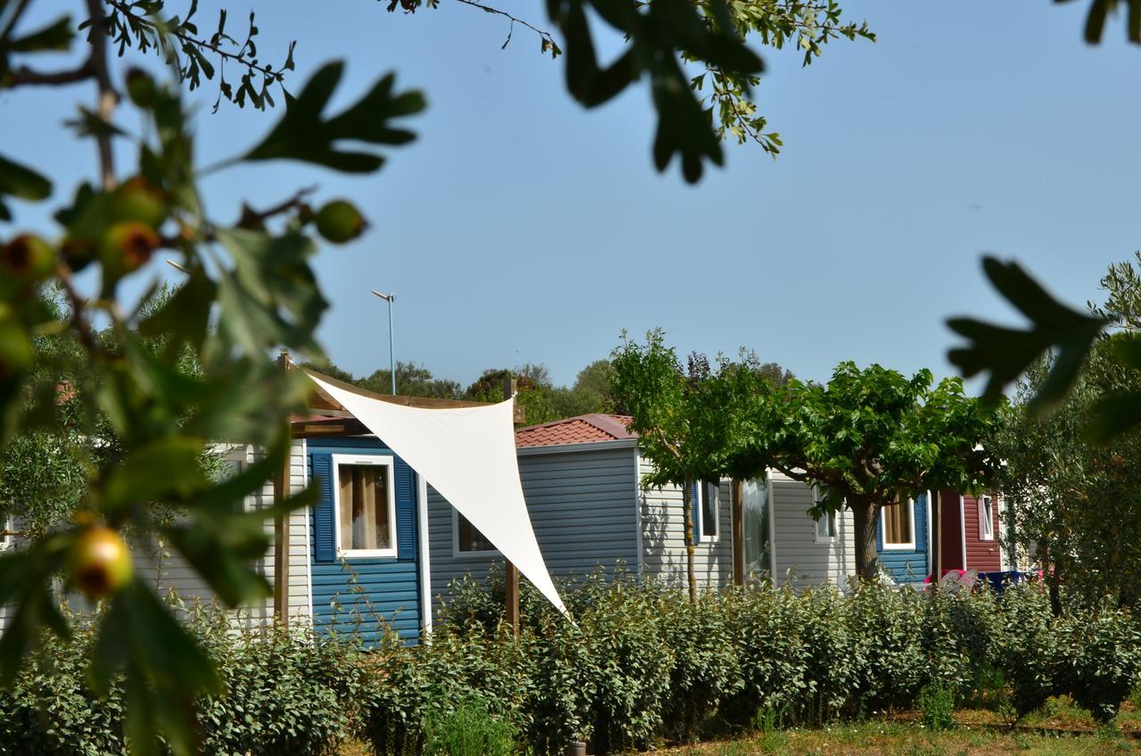 Domaine Sainte Veziane Hotel Bessan ภายนอก รูปภาพ